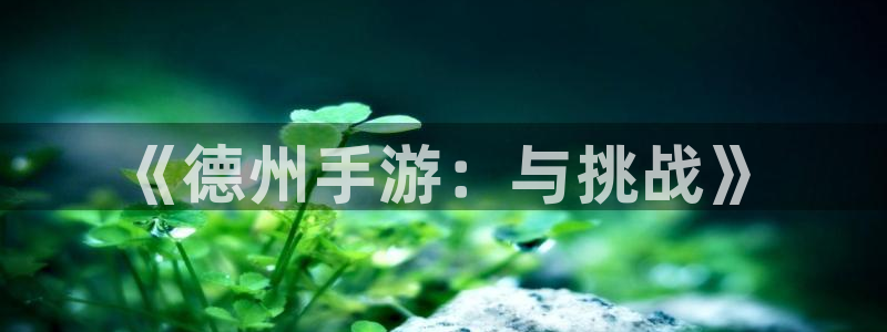 巅峰国际登录：《德州手游：与挑战》