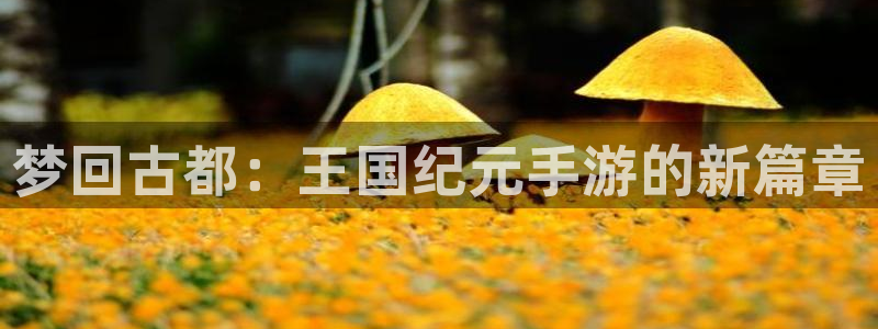 巅峰国际下载：梦回古都：王国纪元手游的新篇章