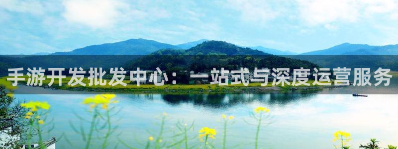 巅峰国际app：手游开发批发中心：一站式与深度运营服务
