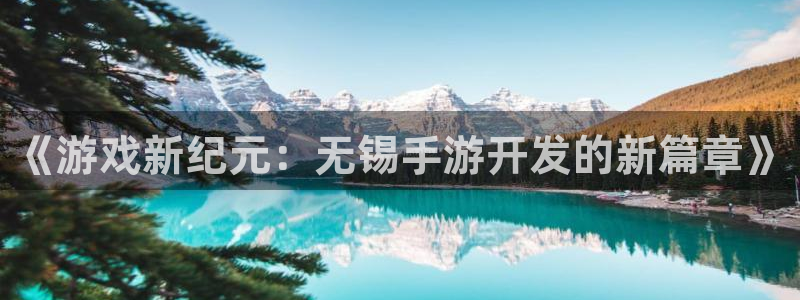 巅峰国际官网：《游戏新纪元：无锡手游开发的新篇章》