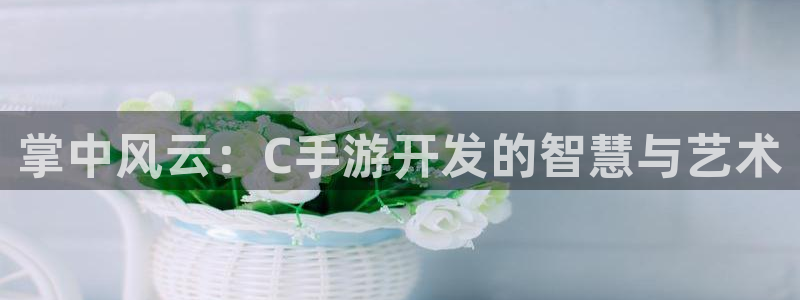 巅峰国际注册：掌中风云：C手游开发的智慧与艺术