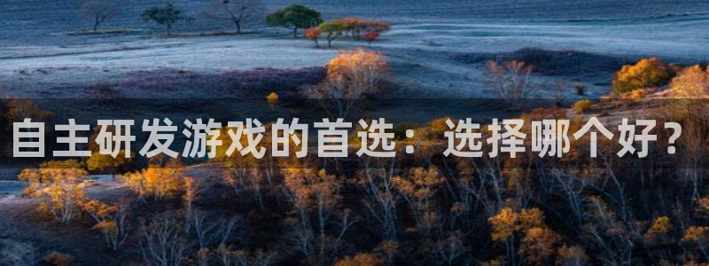 巅峰国际平台：自主研发游戏的首选：选择哪个好？