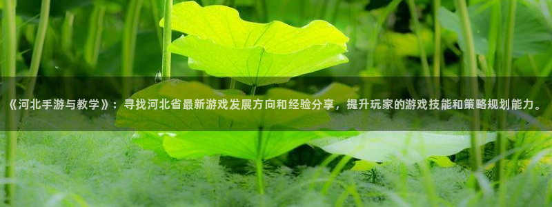 巅峰国际登录：《河北手游与教学》：寻找河北省最新游戏发展方向
