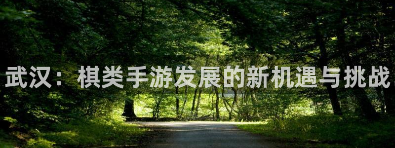巅峰国际注册：武汉：棋类手游发展的新机遇与挑战
