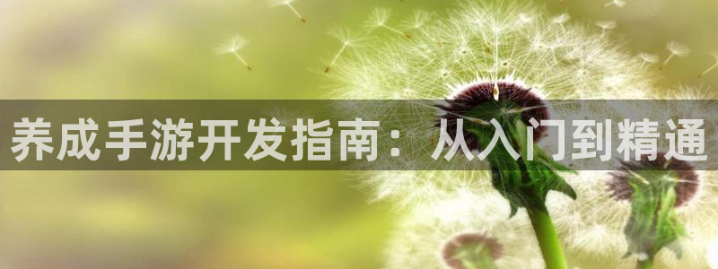 巅峰国际登录：养成手游开发指南：从入门到精通