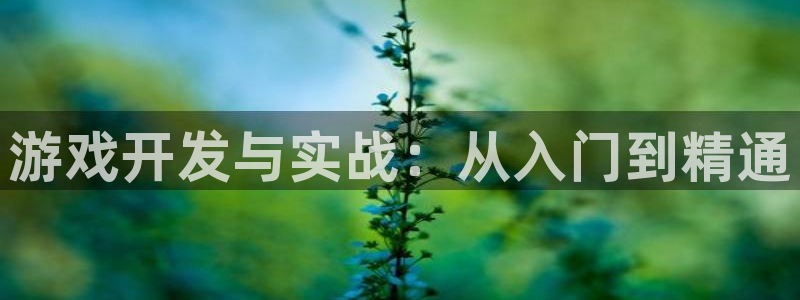 巅峰国际：游戏开发与实战：从入门到精通