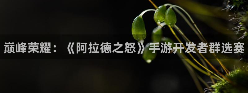 巅峰国际下载：巅峰荣耀：《阿拉德之怒》手游开发者群选赛