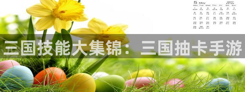 巅峰国际下载：三国技能大集锦：三国抽卡手游