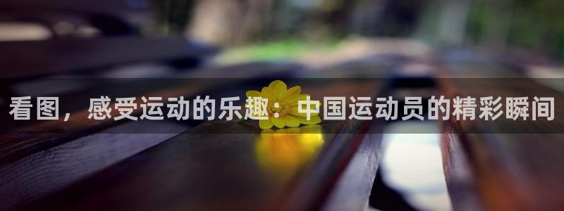 中欧体育ac米兰：看图，感受运动的乐趣：中国运动员的精彩瞬间