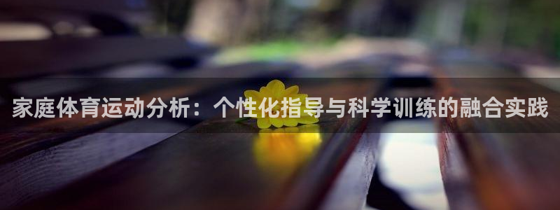 中欧体育下载：家庭体育运动分析：个性化指导与科学训练的融合实践