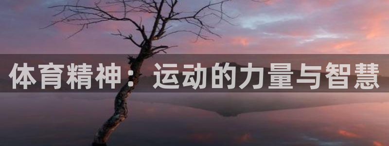 中欧体育平台：体育精神：运动的力量与智慧