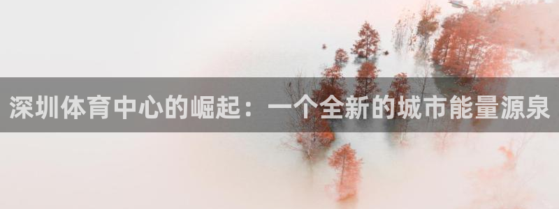 中欧体育集团：深圳体育中心的崛起：一个全新的城市能量源泉