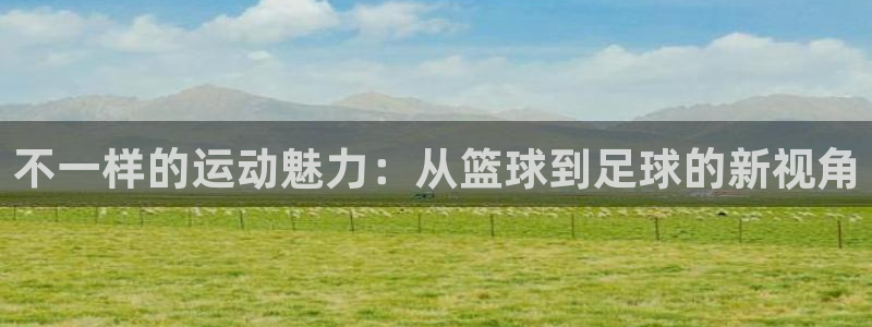 中欧体育网页登录：不一样的运动魅力：从篮球到足球的新视角