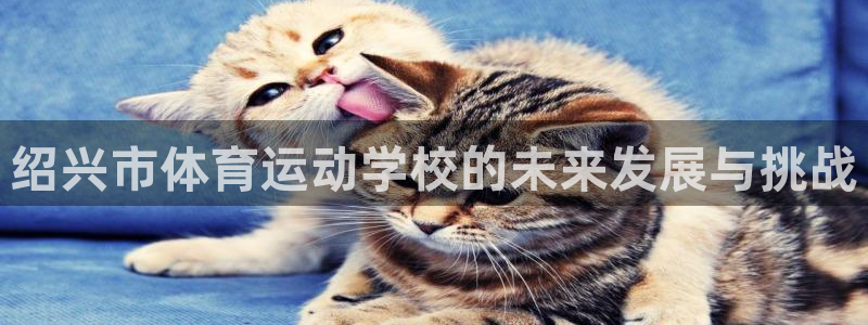 中欧体育网站：绍兴市体育运动学校的未来发展与挑战