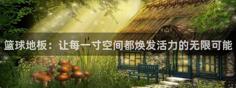 中欧体育下载：篮球地板：让每一寸空间都焕发活力的无限可能