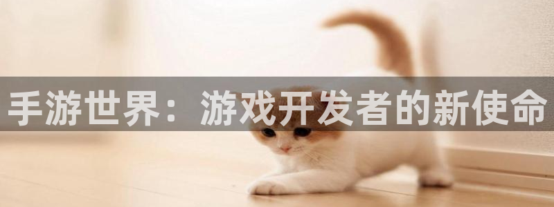 巅峰国际官网：手游世界：游戏开发者的新使命